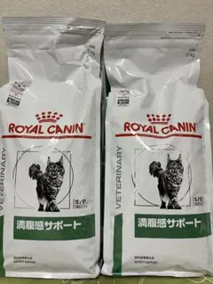 Item thumbnail for item 9c43cfac-7c96-4fca-b6e1-6bbba2083017