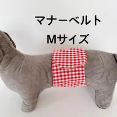 Item thumbnail for item da5f6cf0-25a8-4233-93ea-9eb496d75c64