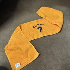 Item thumbnail for item ea9c9cd4-c55e-4004-a80f-9326bed0cf2d