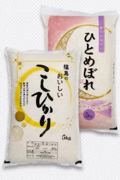 令和7年 山口県産 恋の予感 玄米 20キロ - メルカリ
