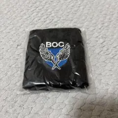 2026年最新】bump of chicken リストバンドの人気アイテム - メルカリ