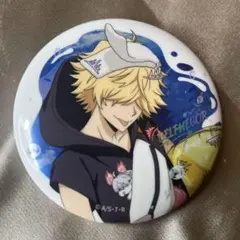 家庭教師ヒットマンREBORN SUMMER 缶バッジ ベルフェゴール 海外限定