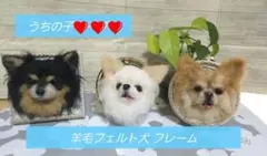 うちの子 オーダーメイド 羊毛フェルト犬 フレーム