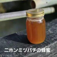 非加熱】日本蜜蜂 はちみ 550g 液状（現在） とろり 国産 たれ蜜