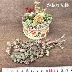 かおりん様 リクエスト 3点 まとめ商品