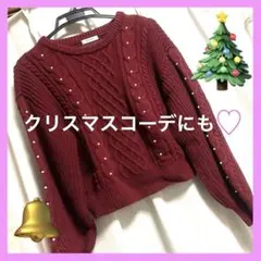 【極美品】バーガンディ ケーブル編みニット