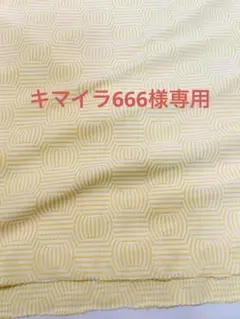 キマイラ666様専用　早川書房5点