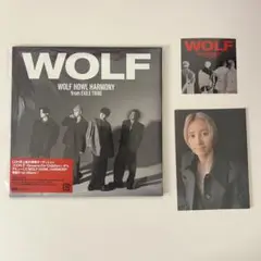 【CD新品】 WOLF HOWL HARMONY 1st album WOLF