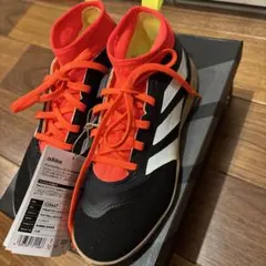 Item thumbnail for item 4605f8f5-689a-482c-9030-0a27c049e310