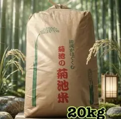 令和7年 熊本県産 ヒノヒカリ 20kg 白米 新米 菊池米 - メルカリ