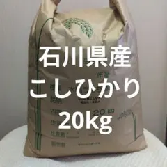 令和7年度石川県産こしひかり 玄米20kg 化学肥料不使用 - メルカリ