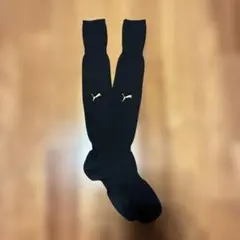 Item thumbnail for item d5a63896-1e73-4881-9a81-3b23f0b2abbb