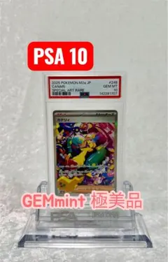 カナリィSAR PSA10 - メルカリ