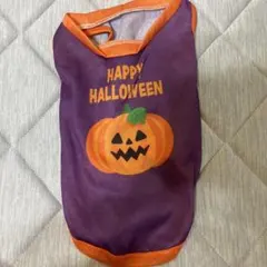 Item thumbnail for item cd2fdc04-b246-44ec-a8fe-df7f7735db65