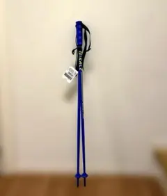 ジュニアスキーポール　SALOMON サロモン