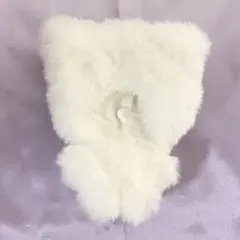 アスパラガス様 リクエスト 2点 まとめ商品