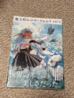 初版‼️新品未開封‼️魔力枯れのダークエルフ(1) - メルカリ