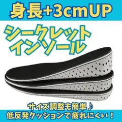 ▽シークレットインソール ３cmアップ 22.5～27cm 中敷き 身長UP 男