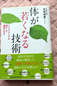 Item thumbnail for item 8160c37c-f68c-40e4-969b-dd2c9cc344d0