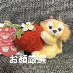 新品　クッキーアン　ぬいぐるみチャーム　ハートフェルトストロベリーギフト