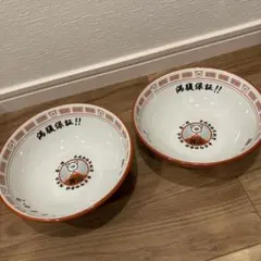 み*さ様 中山競馬場 おがわじゅり ラーメンどんぶり - メルカリ