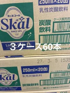 아이 스콜 (탄산음료) 250ml, 20개입, 케이스 3개