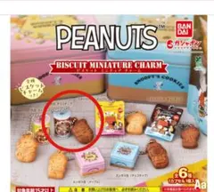 PEANUTS　スヌーピー　ビスケット　ミニチュアチャーム　ガチャ
