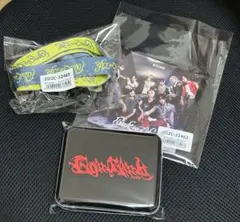 &TEAM 月狼 go in blind back to life 購入特典