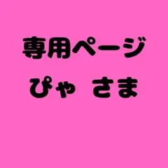 ぴゃ 様　専用ページ
