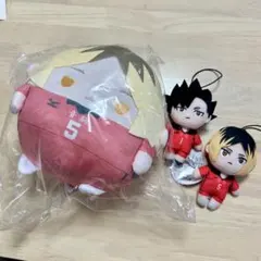 ハイキュー ぬいくじ くじメイト C賞 ふわコロりん Mサイズ 黒尾鉄朗
