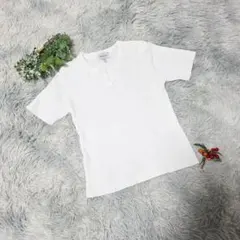 Item thumbnail for item 15faaae8-2c6a-4002-ab5f-f43c647c7654