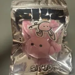 チャンビン　ぬいぐるみ　スキズサウナ