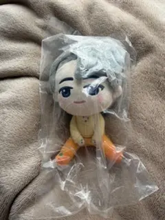 SEVENTEEN ウォヌ ぬいぐるみ 2個セット WONWOO セブチ - メルカリ