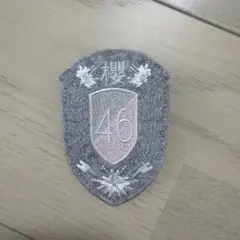 櫻坂46 新せ界 衣装 エンブレム レプリカ ワッペン Start over - メルカリ