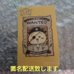 ちいかわ　ちいかわお台場商店　お台場冒険王2024 特典　クリアカード　うさぎ