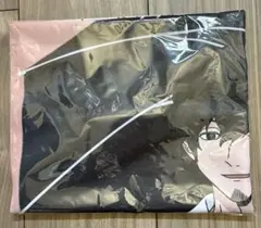 Item thumbnail for item 2b009f0a-c2ed-4ba1-b168-ae99a205539a