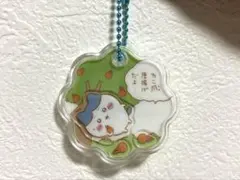 ハチワレ きゃらシャカ⭐︎チャームグミ　きゃらシャカチャームグミ