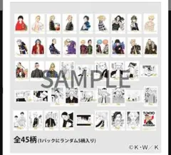 東京リベンジャーズ 原画展 ぱしゃこれ コンプリートセット