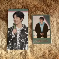 SEVENTEEN ウォヌ ケレン 2022 ポラロイド チェキ トレカ