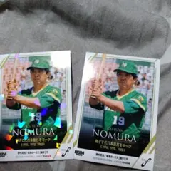 Item thumbnail for item 79e46e24-c757-455f-b2f2-38b98dfa0161