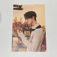 SEVENTEEN Your Choice ポストカード ディエイト THE8