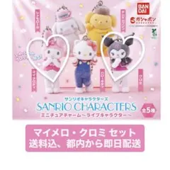 サンリオキャラクターズ ミニチュアチャーム マイメロ・クロミ