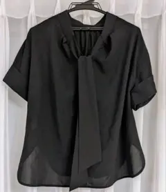 Item thumbnail for item 06a2195d-151a-4190-86ca-4548d1ca8127