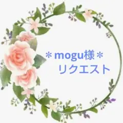 ＊mogu様＊ リクエスト 9点 おまとめ商品
