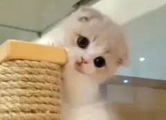 まゆまゆ様 リクエスト 2点 まとめ商品