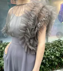 ＊美品＊ ラグナムーン LADYチュールドッキングコンビネゾン