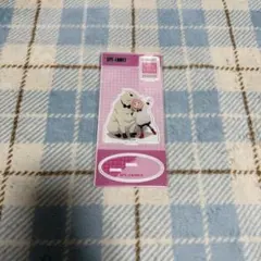 スパイファミリー アーニャ＆ボンド パーカー アクスタ