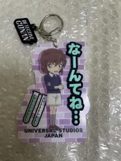 名探偵コナン USJ コレクタブルキーチェーン 灰原哀
