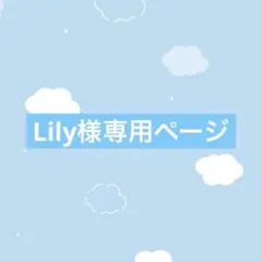 Lily様専用ページ