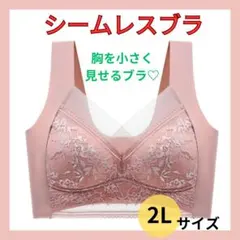 胸を小さく見せるブラ シームレス ノンワイヤー 着痩せ 美胸 2L ナイトブラ